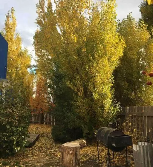 La Azul