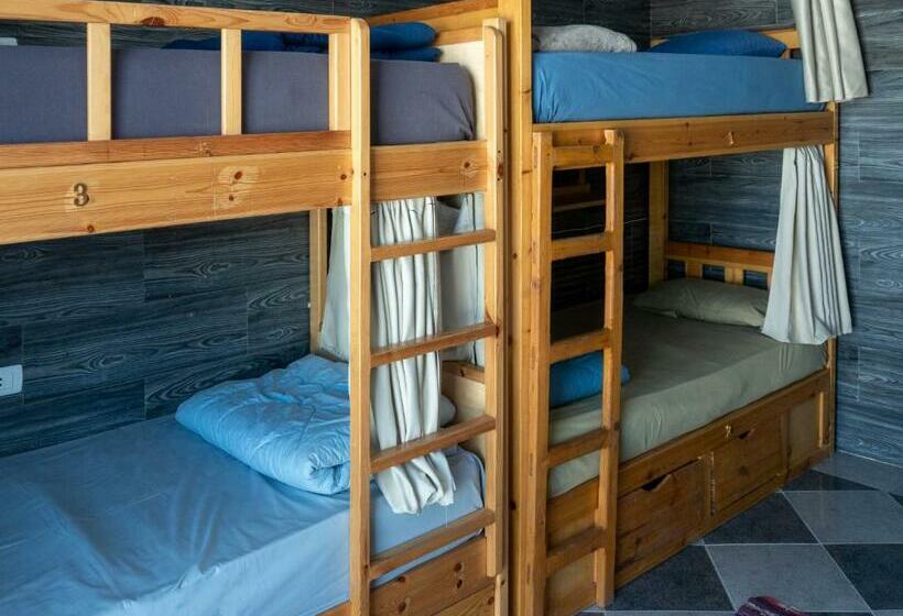My Hostel In Dahab   Dive Center