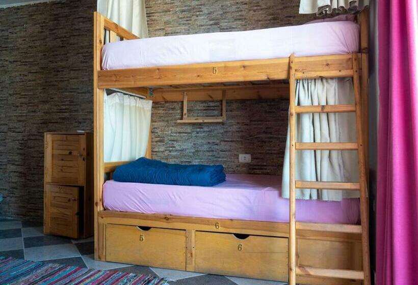 My Hostel In Dahab   Dive Center
