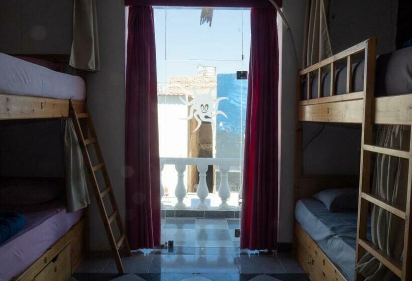 My Hostel In Dahab   Dive Center