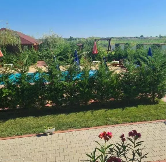 پانسیون Casa Vlad