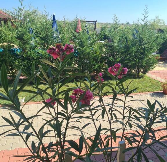 Пансион Casa Vlad