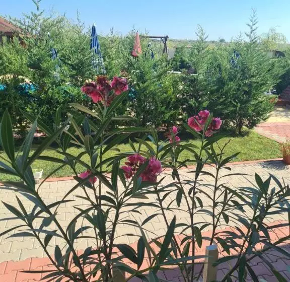 پانسیون Casa Vlad