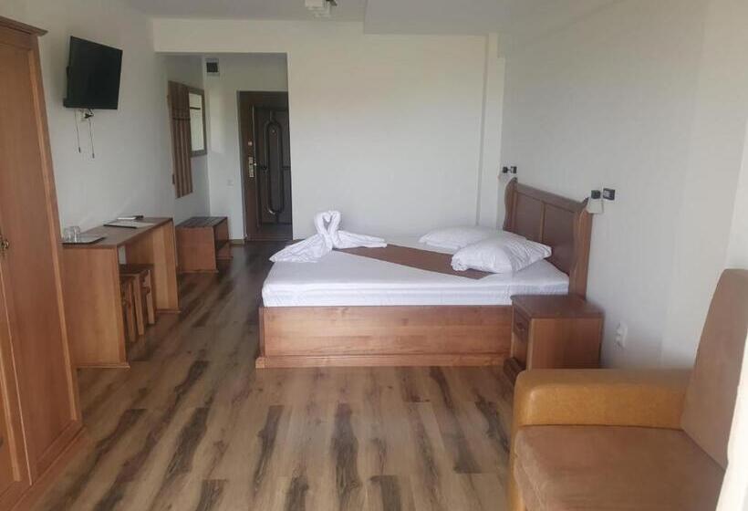 Пансион Casa Vlad