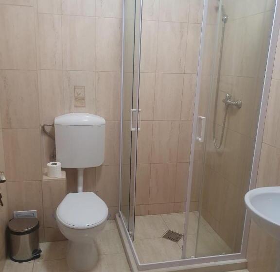 Пансион Casa Vlad