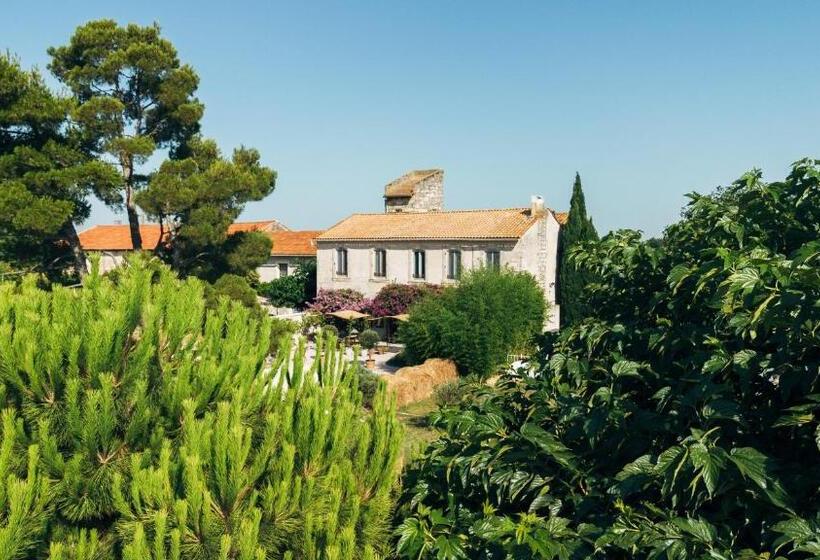 تختخواب و صبحانه Maison Tara Verte Au Mas Montredon