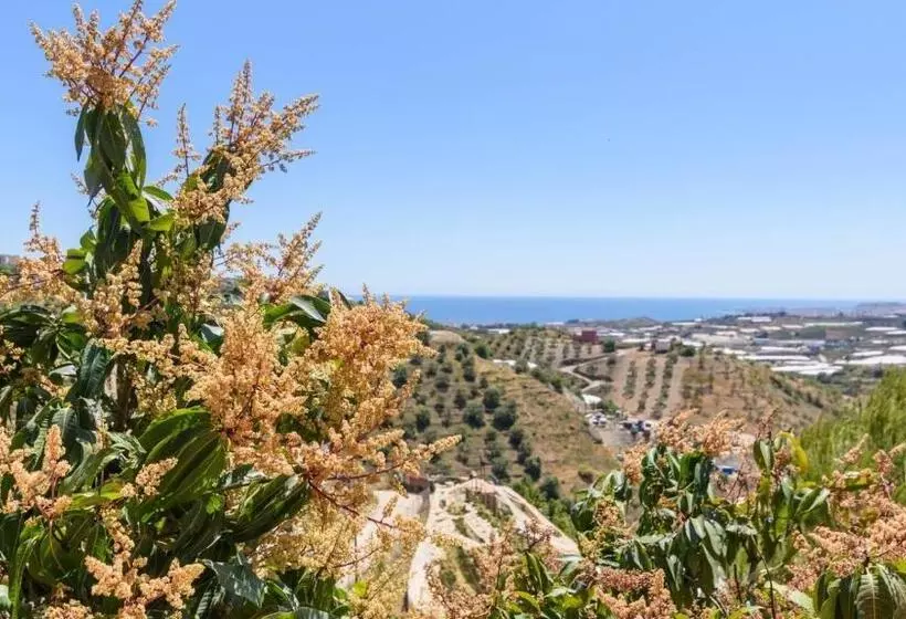 Casa La Yedra Algarrobo By Ruralidays