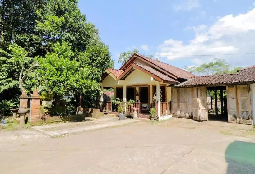 ペンション Penginapan Widodo Syariah Borobudur