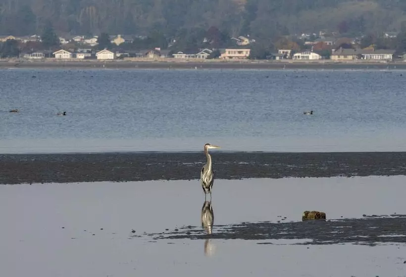 Szálloda Raintree S Sandcastle, Birch Bay