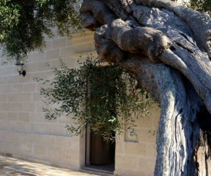 فندق ريفى Agriturismo Masseria San Leonardo