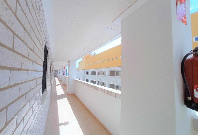 Ayf Centrico Luminoso Y Moderno