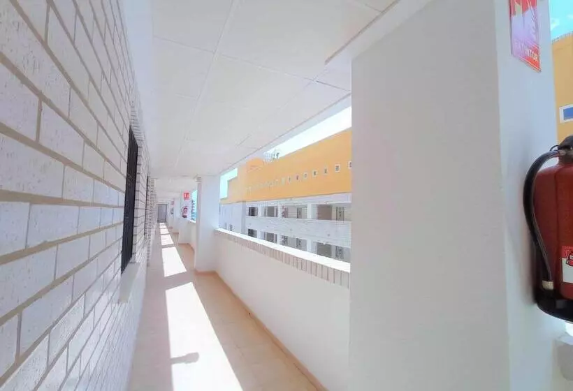 Ayf Centrico Luminoso Y Moderno