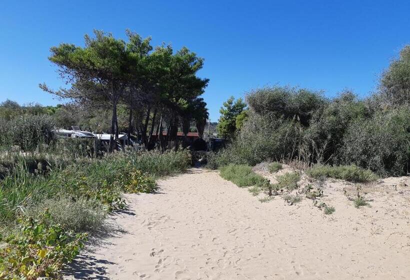 פנסיון La Dimora In Riva Al Mare