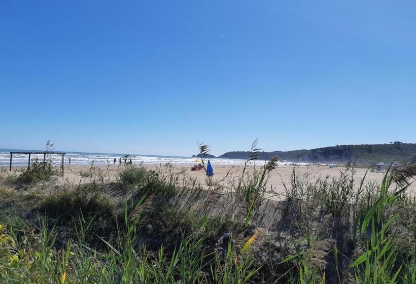 פנסיון La Dimora In Riva Al Mare