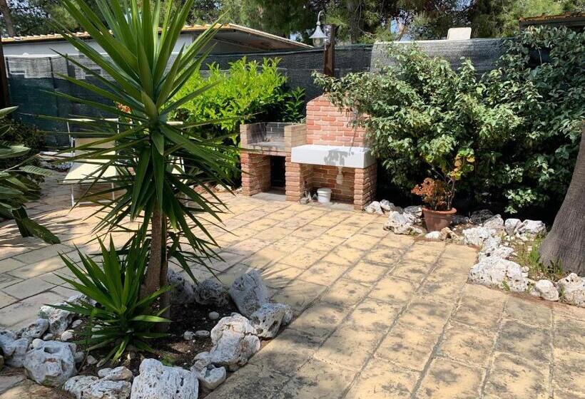 פנסיון La Dimora In Riva Al Mare