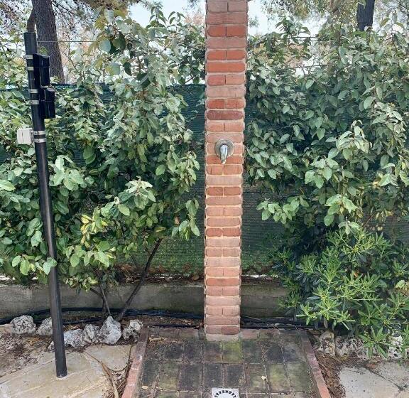 פנסיון La Dimora In Riva Al Mare