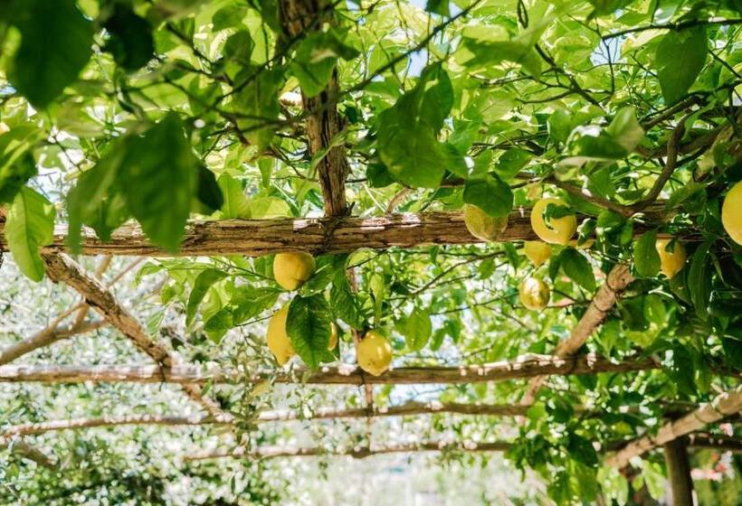 Residence Villa Rosa