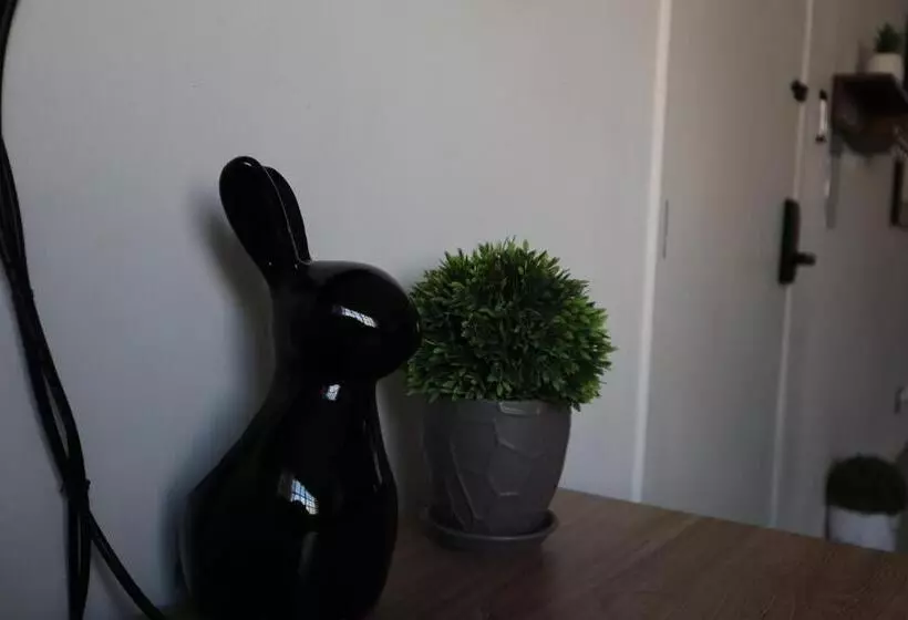 Suites Incoreli 1, Centro Pachuca De Soto
