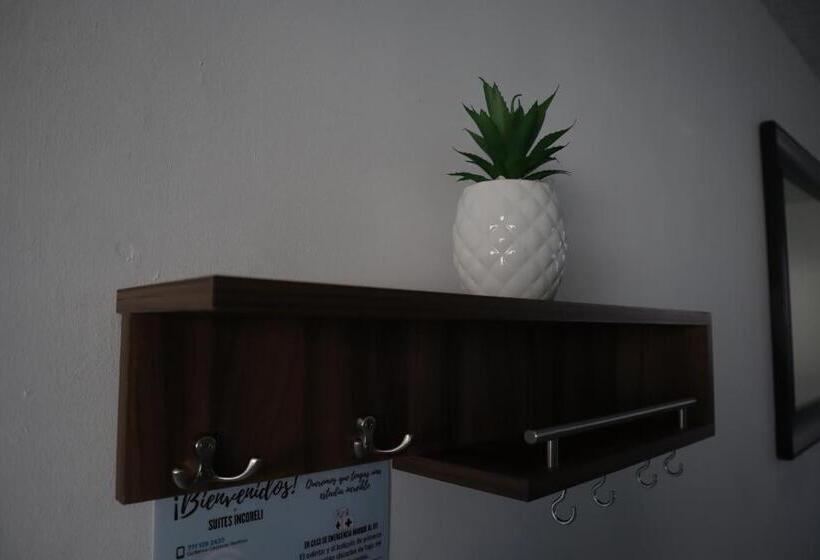 Suites Incoreli 1, Centro Pachuca De Soto