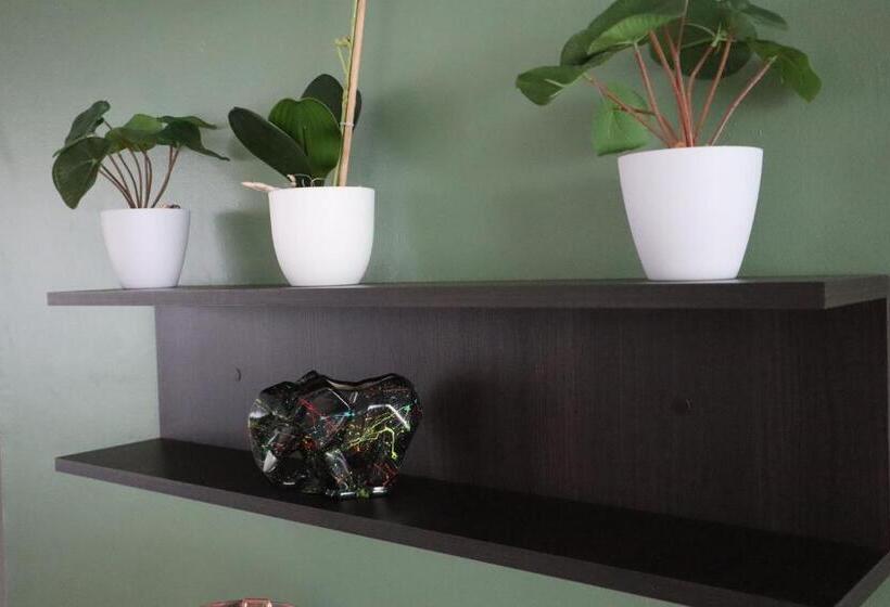 Suites Incoreli 1, Centro Pachuca De Soto