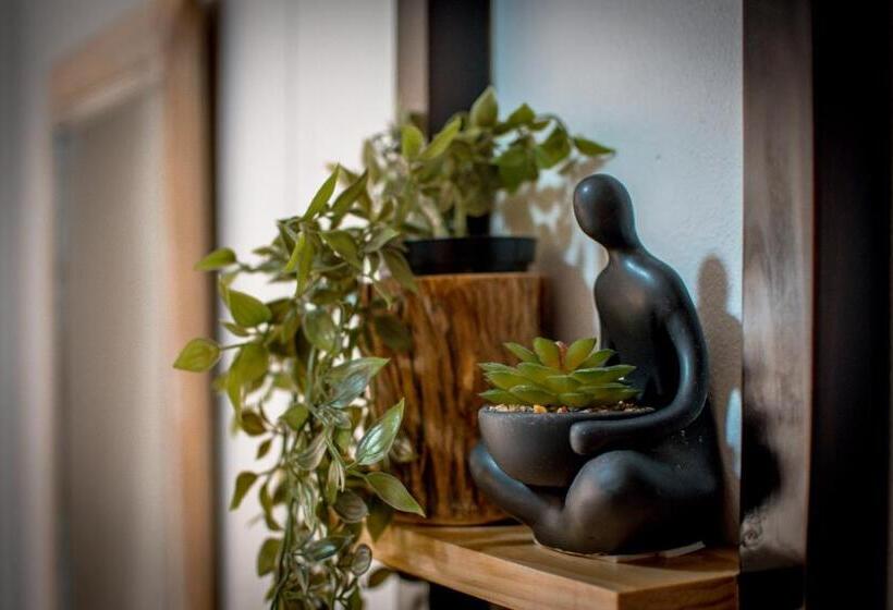 Meerkat Manor Self Catering & Accommodation Windhoek