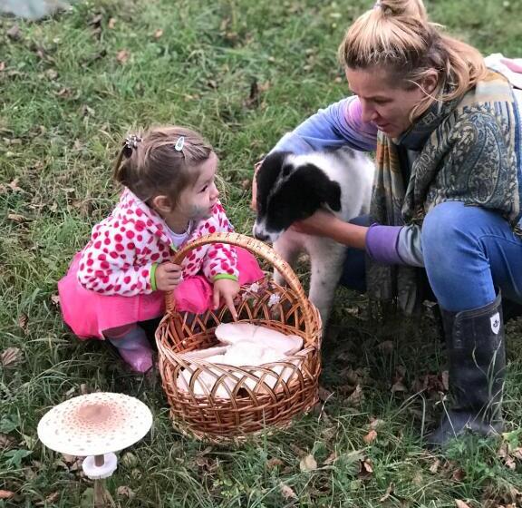 Пансион Small Apartment In Breb S Cosy Barn