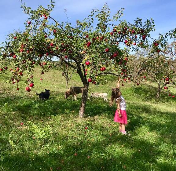 Пансион Small Apartment In Breb S Cosy Barn