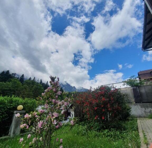 פנסיון Vila Bradet