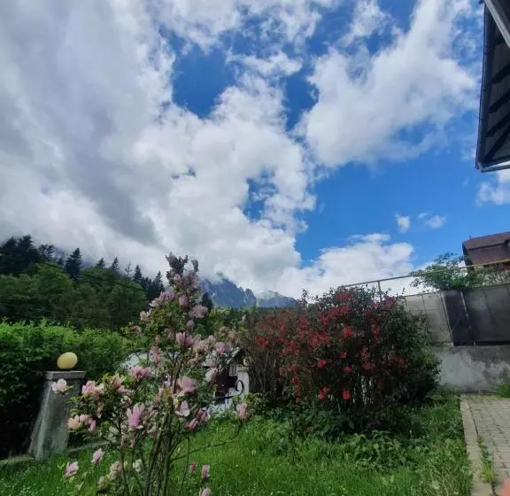 ペンション Vila Bradet