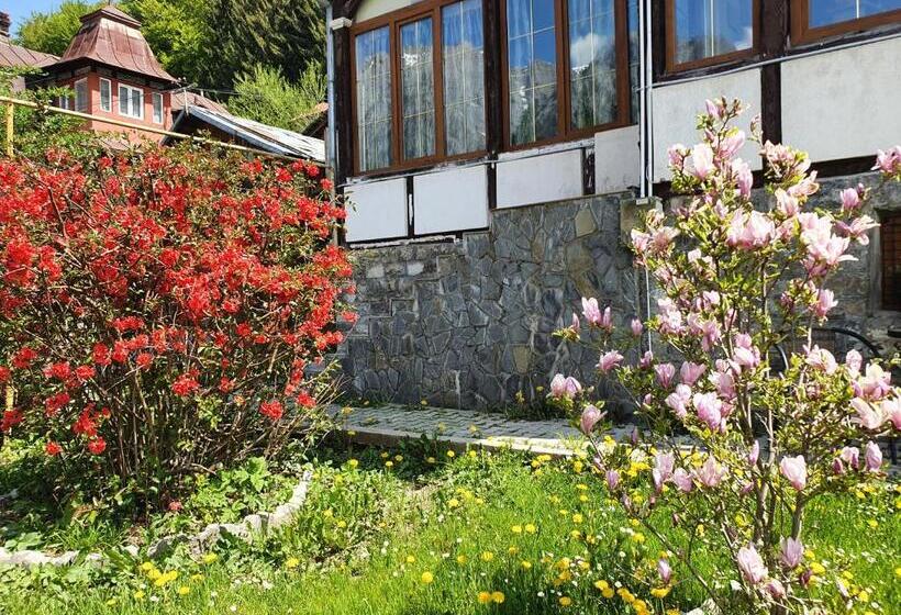 פנסיון Vila Bradet