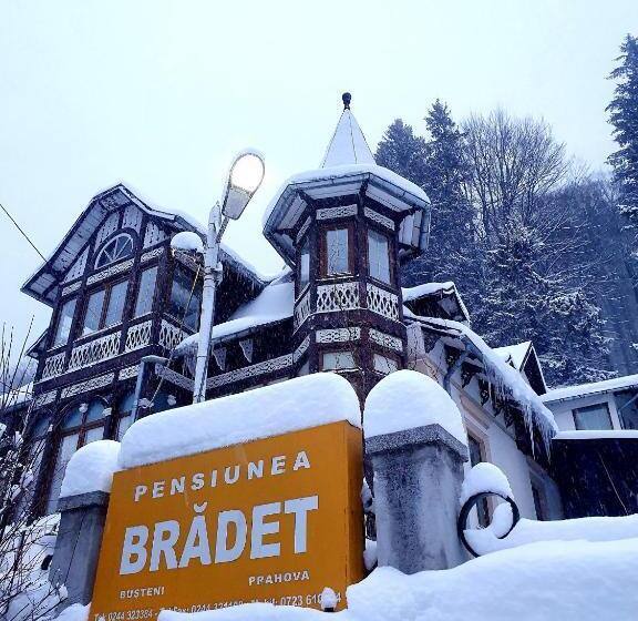 פנסיון Vila Bradet