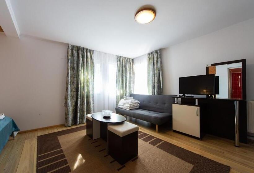 פנסיון Vila Bradet