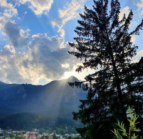 פנסיון Vila Bradet