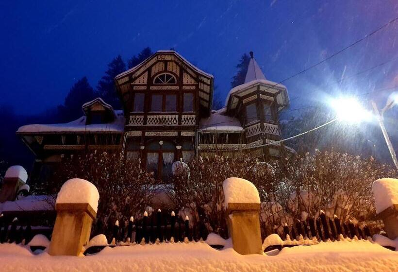 פנסיון Vila Bradet