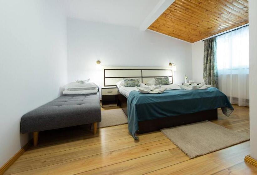 פנסיון Vila Bradet