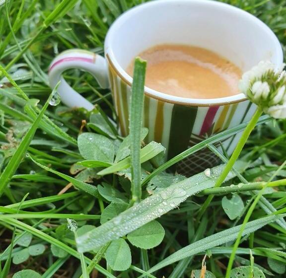 פנסיון Vila Bradet