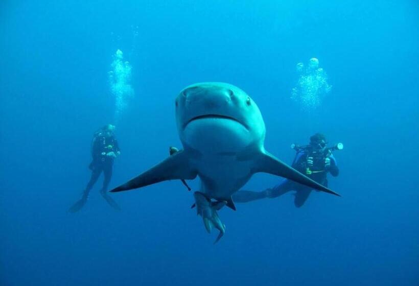 Utopia In Palm Beach