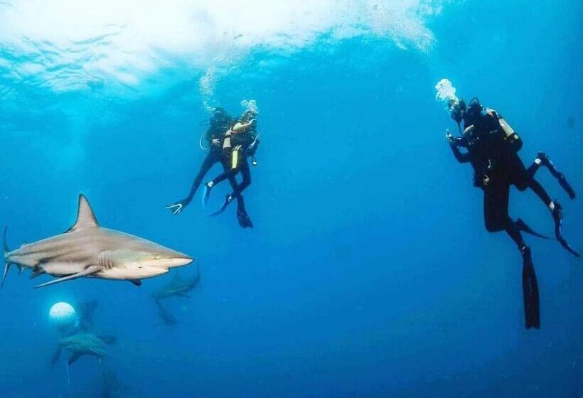 Utopia In Palm Beach