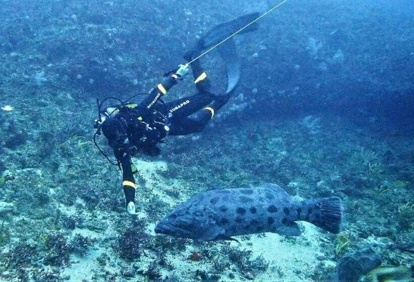 Utopia In Palm Beach