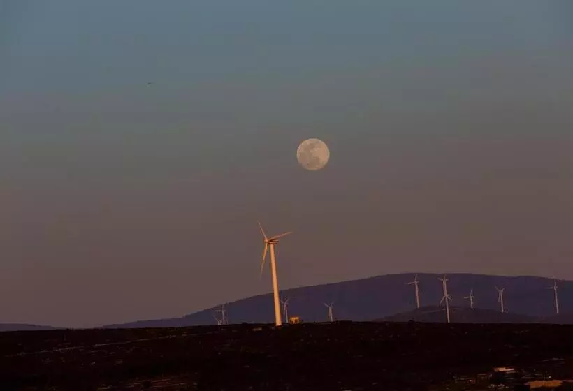 Hotelli Woodstock Alaçatı