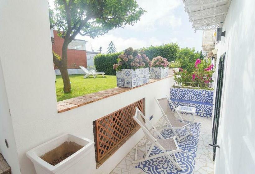 Il Veliero B&b Charming Rooms