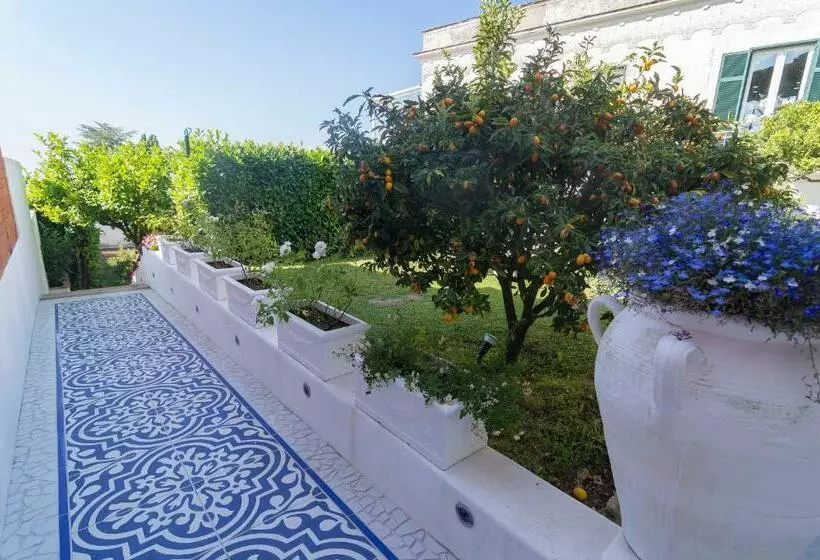 Il Veliero B&b Charming Rooms