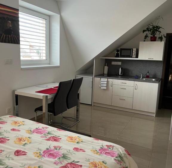 ペンション Penzion Vinařství Mikulica