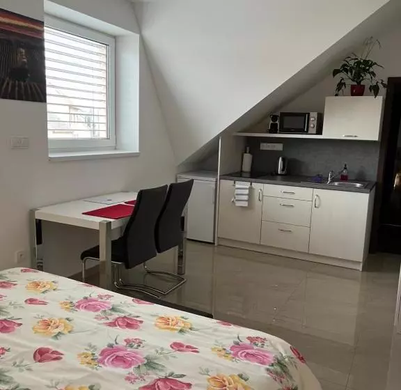 ペンション Penzion Vinařství Mikulica