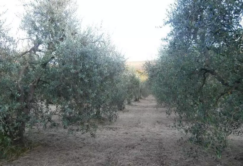 ホテル Agriturismo La Fonte