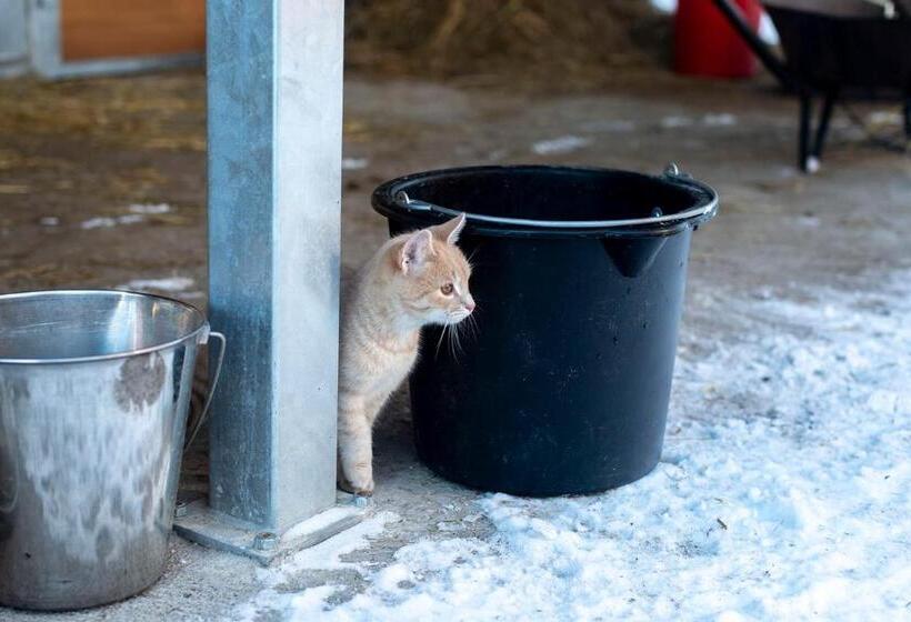 بنسيون Natali Vendégház és étterem Mátra