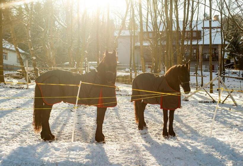 بنسيون Natali Vendégház és étterem Mátra