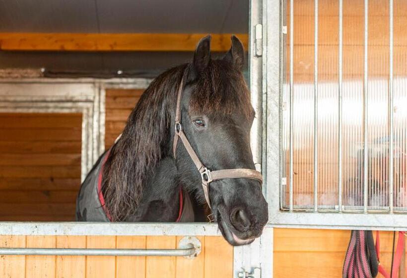 بنسيون Natali Vendégház és étterem Mátra