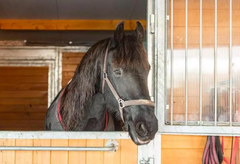 Majatalo Natali Vendégház és étterem Mátra