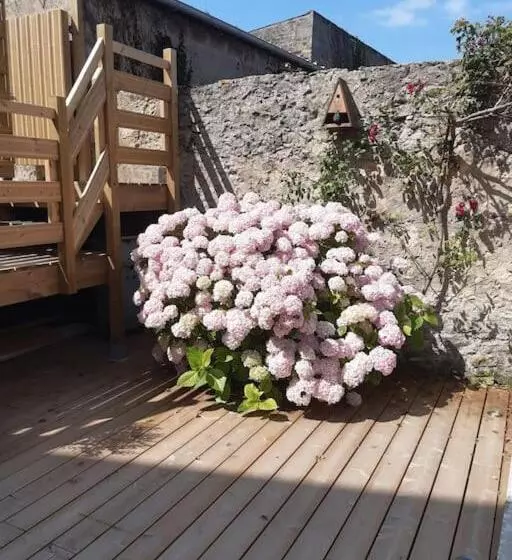 Champêtre   Gîte Entièrement Neuf à 100 Mètres De La Plage